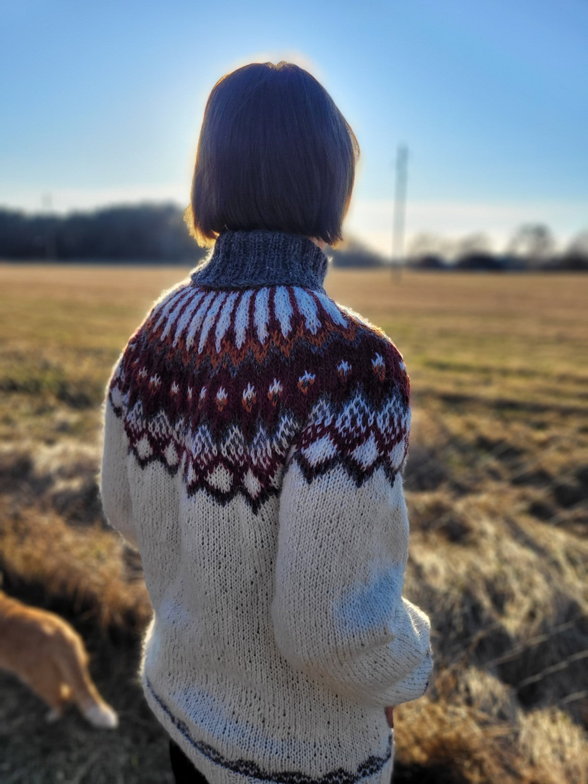 Rückenansicht eines handgestrickten Islandpullovers Alfheidur mit auffälliger Rundpasse im Nordic Statement Stil